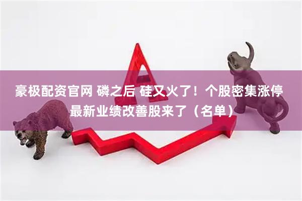 豪极配资官网 磷之后 硅又火了！个股密集涨停 最新业绩改善股来了（名单）