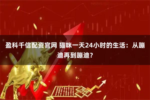 盈科千信配资官网 猫咪一天24小时的生活：从蹦迪再到蹦迪？